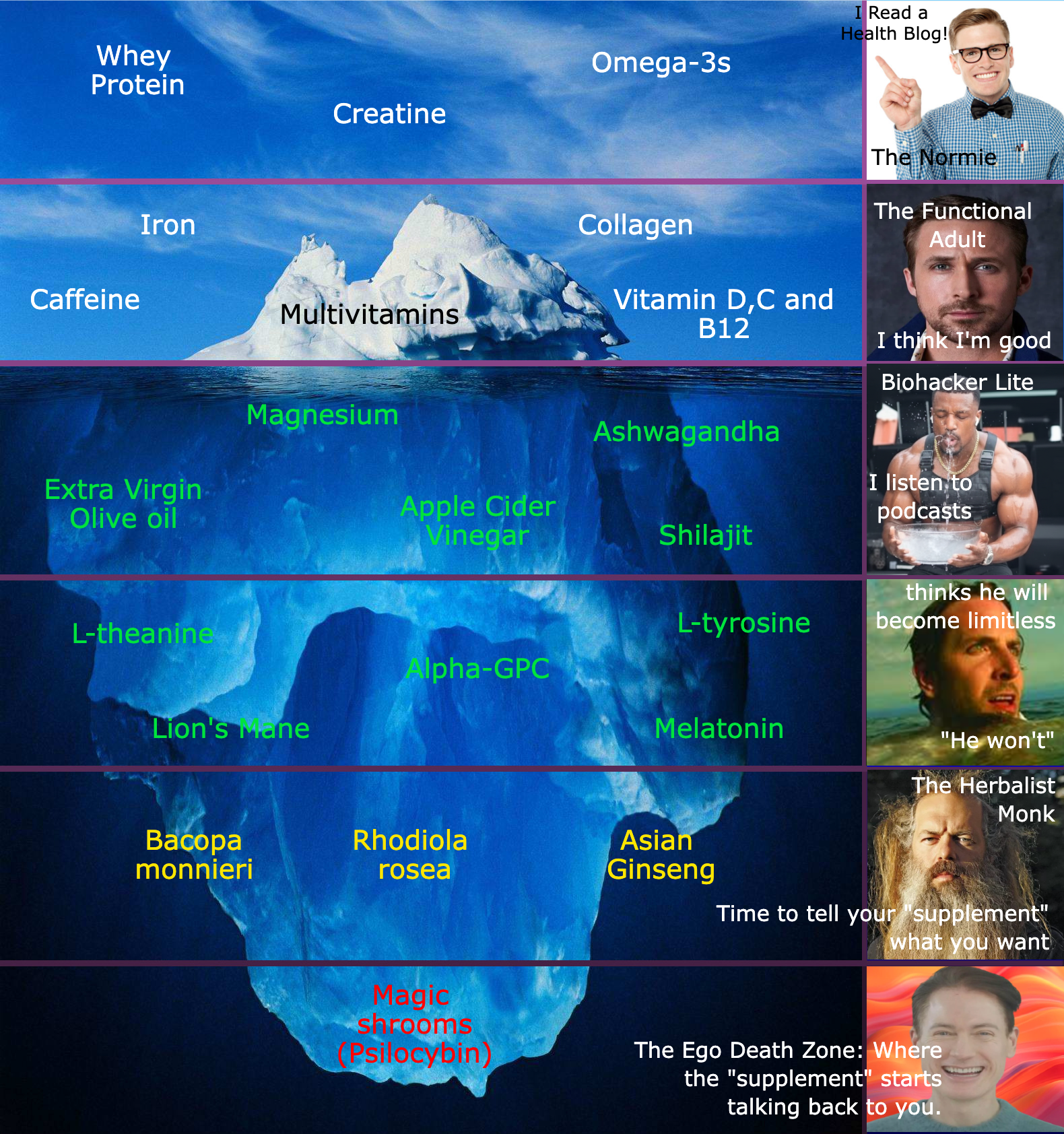 Diagram 1: The Iceberg Meme